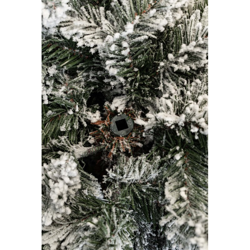 Albero di Natale innevato Fred | Xone