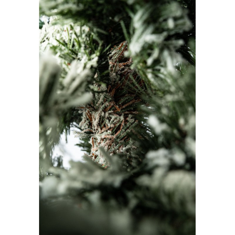 Albero di Natale innevato Fred | Xone