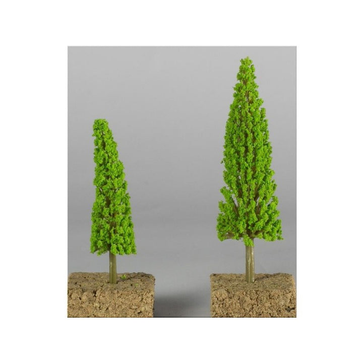 Albero cipresso ad innseto senza base