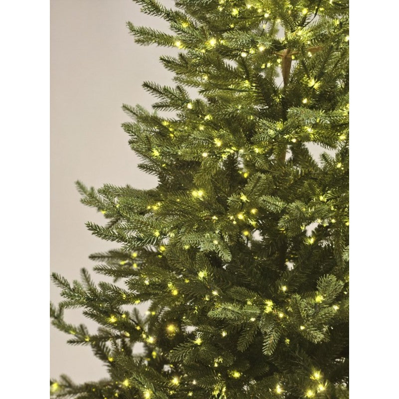 Albero di Natale con luci incorporate Anthony | Xone