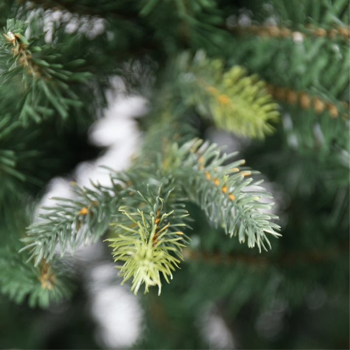 Albero di Natale Arthur | Xone