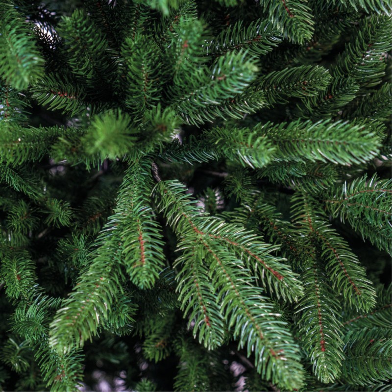 Albero di Natale Charly |  Xone