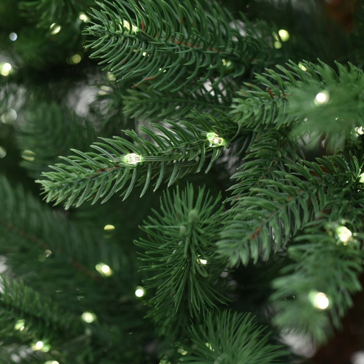 Albero di Natale con luci incorporate Harrison | Xone