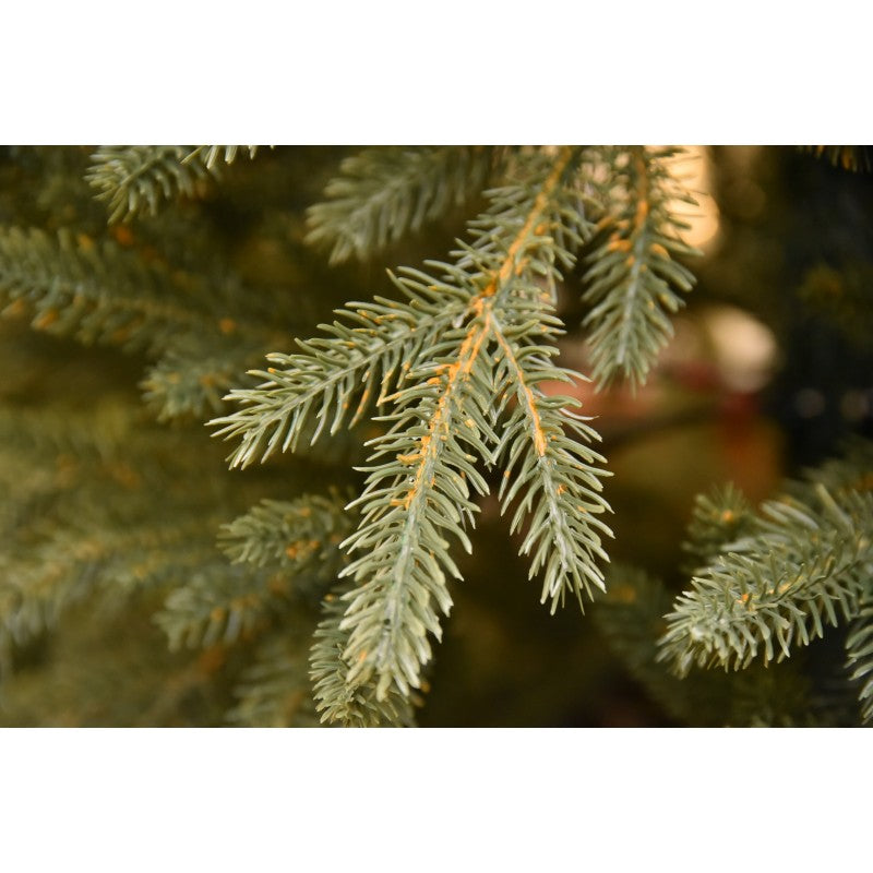 Albero di Natale Lincoln Deluxe | Xone