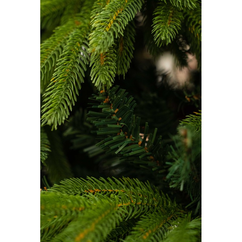 Albero di Natale Oscar | Xone