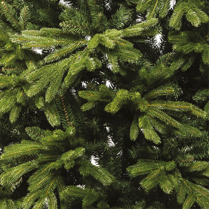 Albero di Natale Oscar | Xone