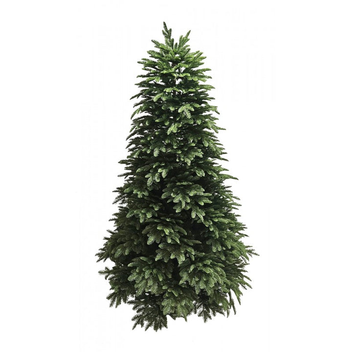 Albero di Natale Raymond | Xone