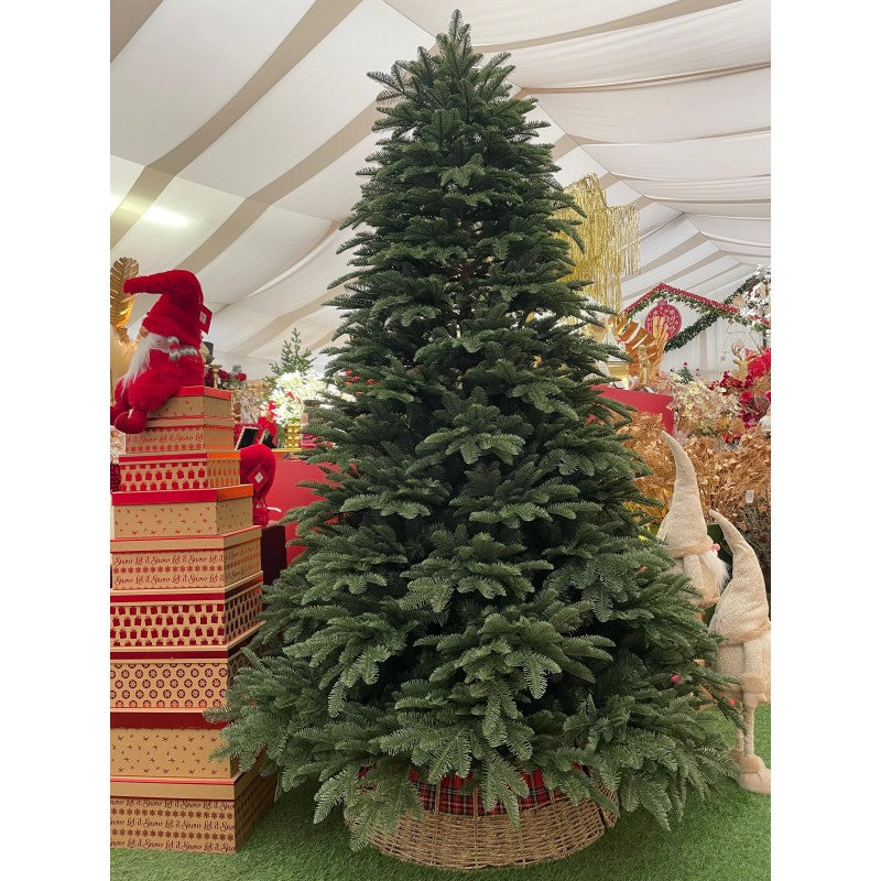 Albero di Natale Raymond | Xone