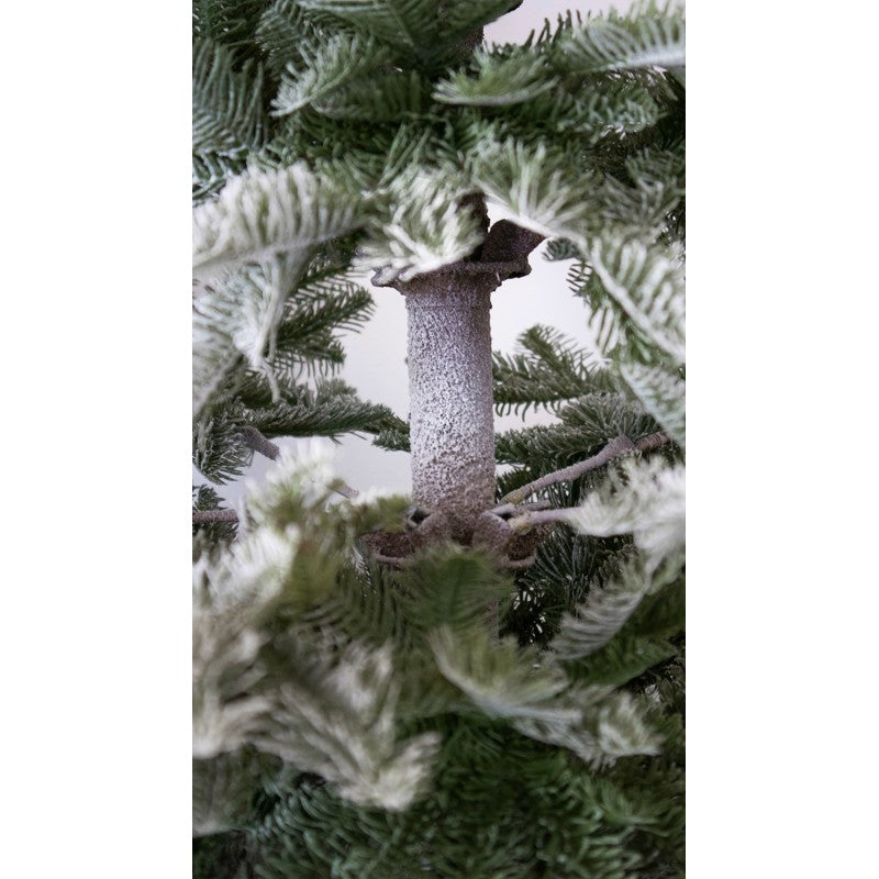 Albero di Natale innevato Rockefeller by Salvatore Izzo