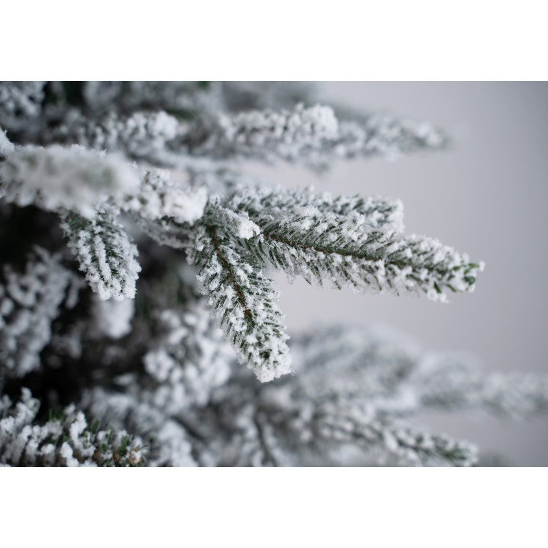Albero di Natale innevato con tronco Kentucky | Xone