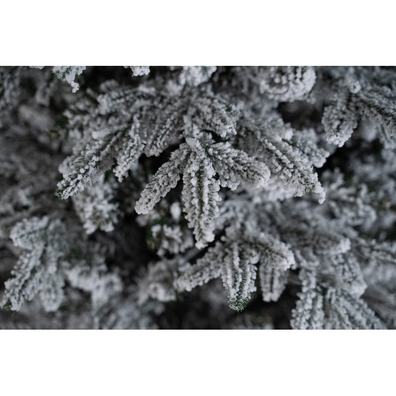 Albero di Natale innevato con tronco Kentucky | Xone