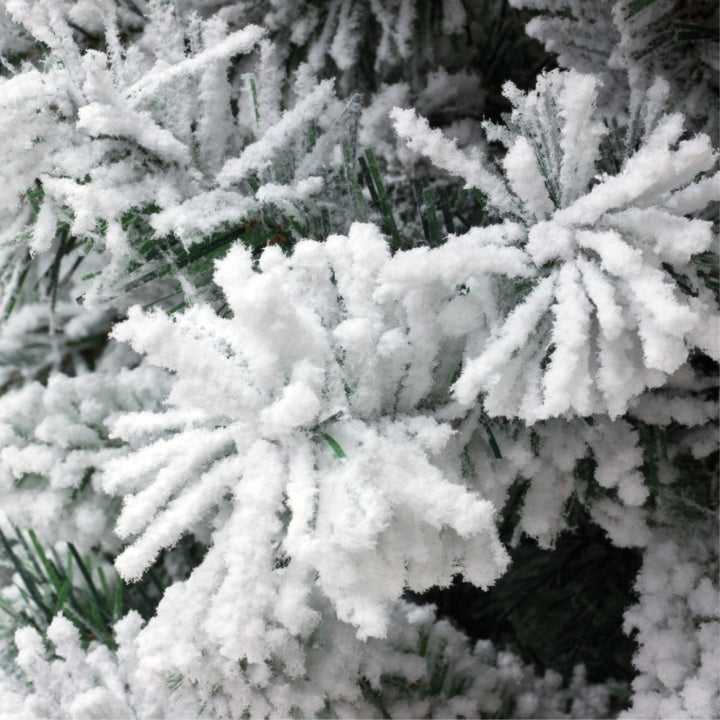 Albero di Natale innevato Kettinson | Xone