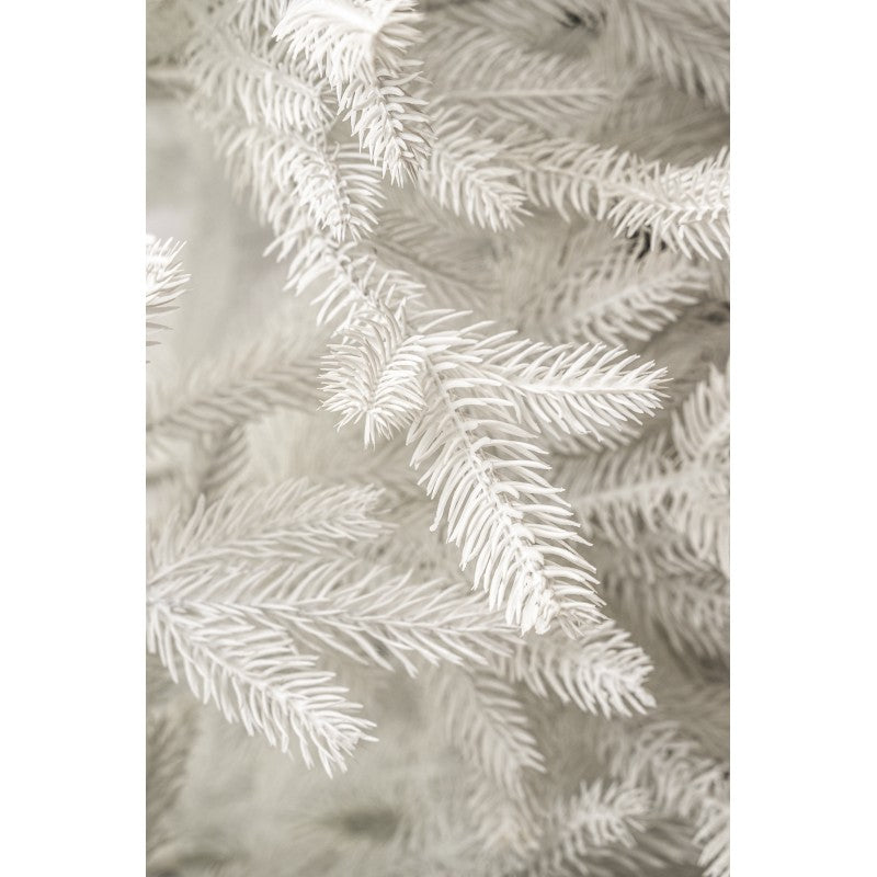 Albero di Natale in gift box Lincoln White Deluxe | Xone