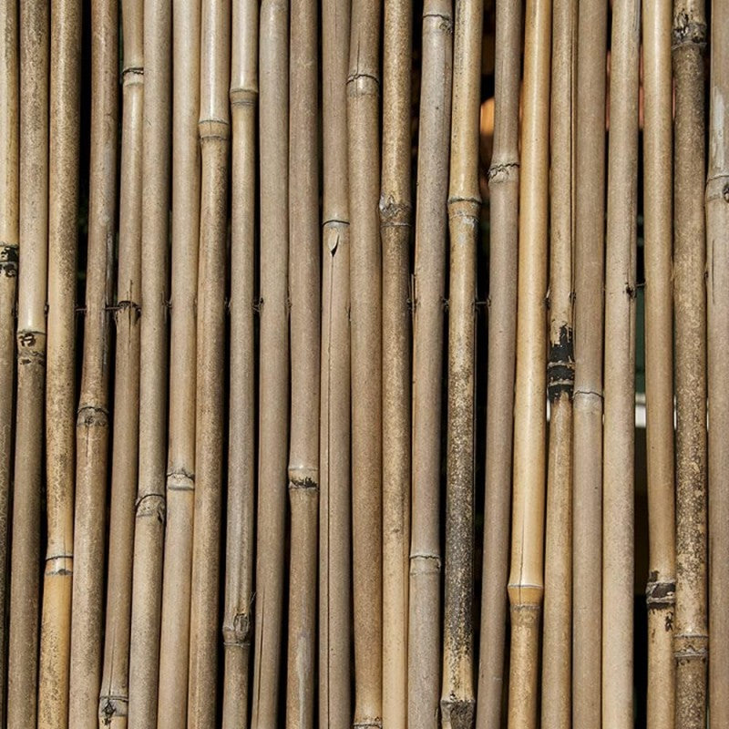 Arella Bamboo canniccio spesso con filo passante Xone