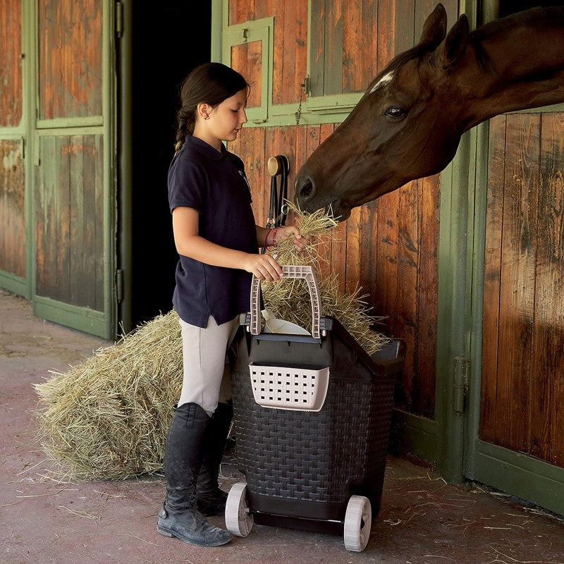 Carrello Kart con ruote per giardino