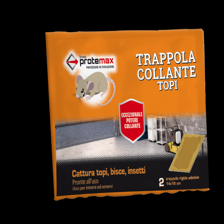 Colla rigida per topi