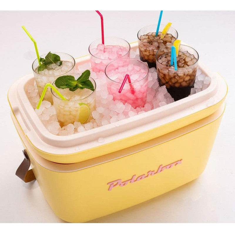 Borsa Termica 12 lt vintage Polarbox