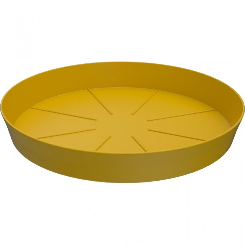 Sottovaso Memphis d.12cm