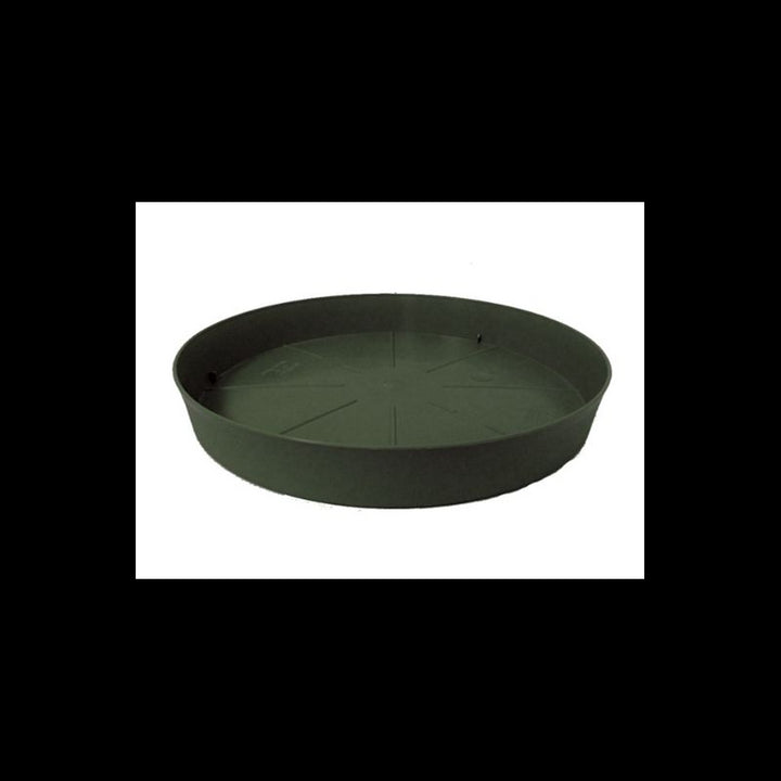 Sottovaso Memphis d.12cm