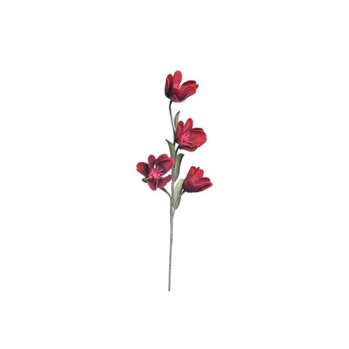 Stelo 4 magnolie con foglie