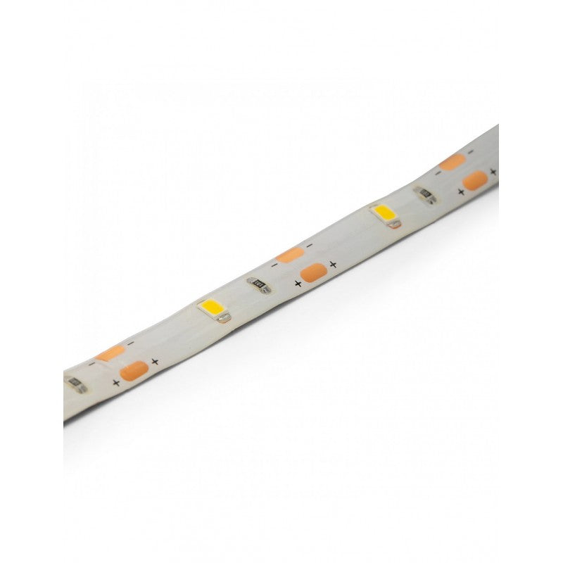 Striscia Led + Sensore Di Movimento