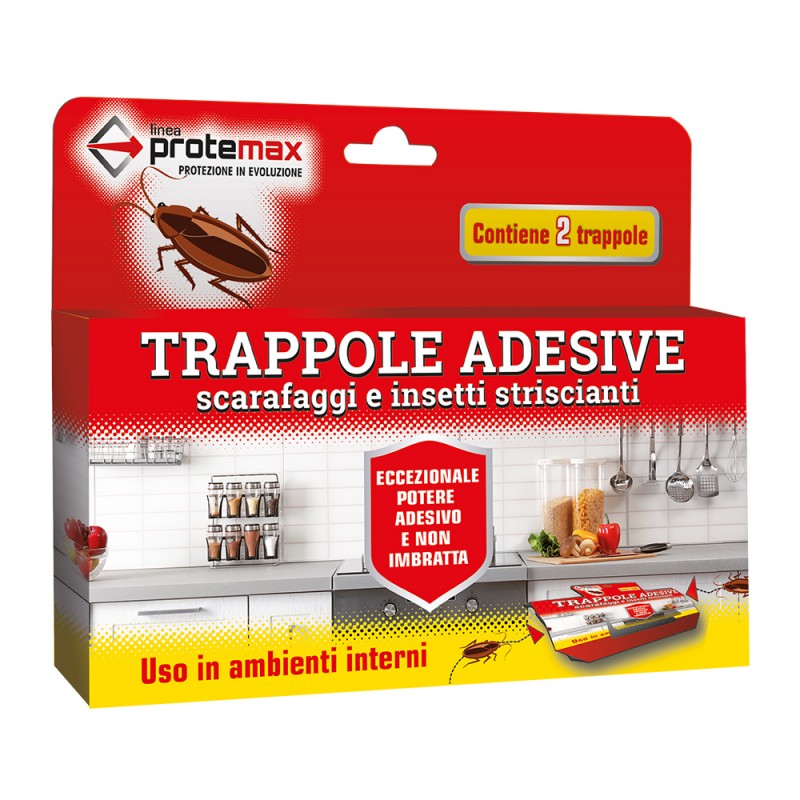 Trappole adesive Scarafaggi