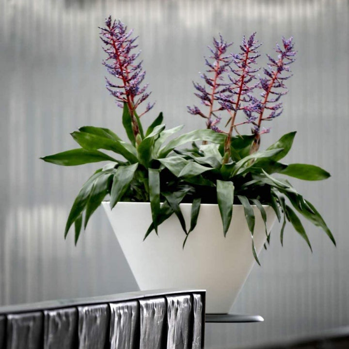 Vaso Chiron bianco 50 cm