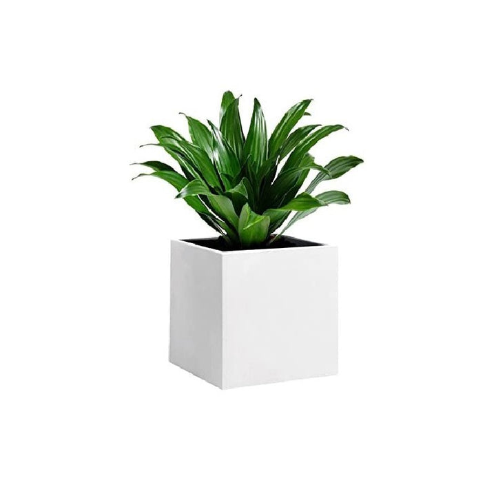 Vaso Cubo Momus Bianco 50cm