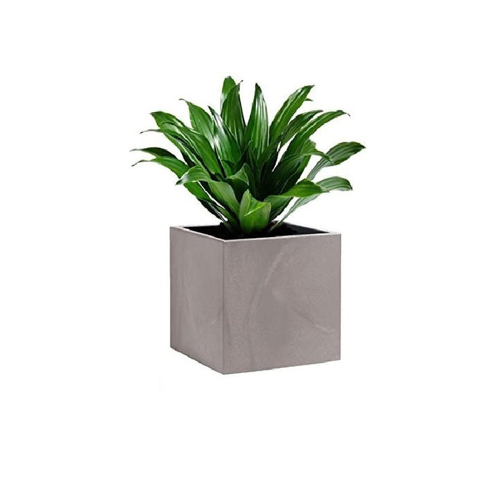 Vaso Cubo Momus Cenere 50cm