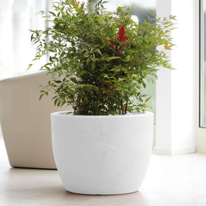 Vaso Hera bianco