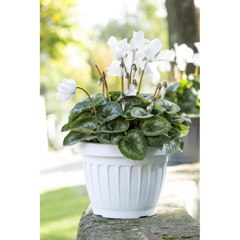Vaso terra bianco