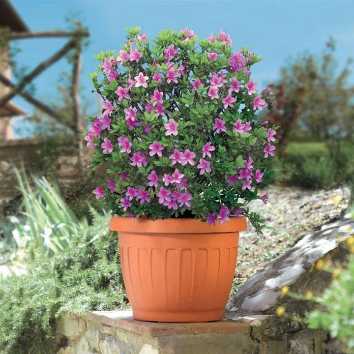 Vaso terra color terracotta